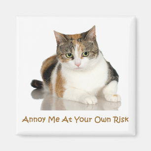 Aimant Chat de calicot : Ennuyez-moi à vos risques et