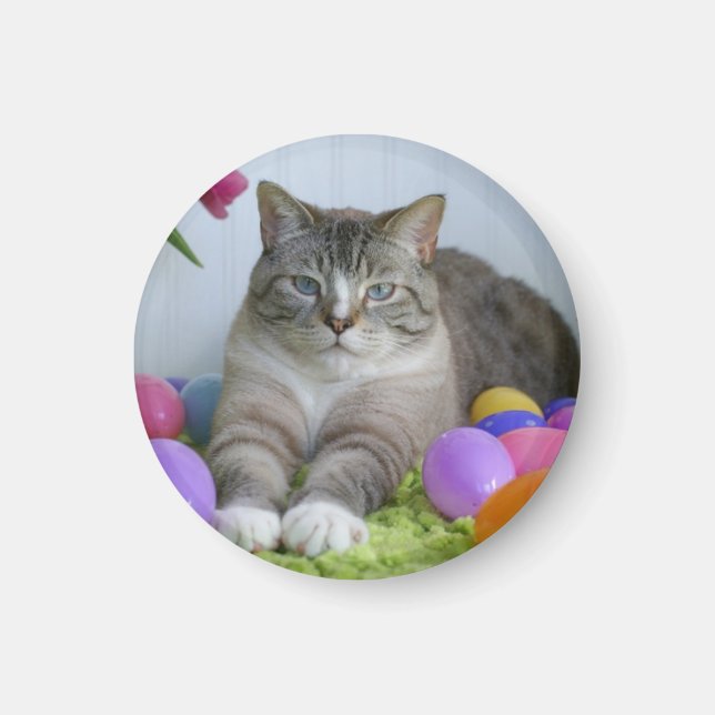 Aimant Chat de Pâques Sticker Classic Rond Mason Jar Ston (Devant)