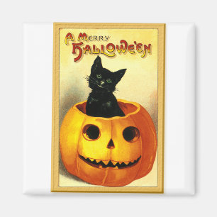 Aimant Chat d'Halloween assis dans une citrouille lumineu