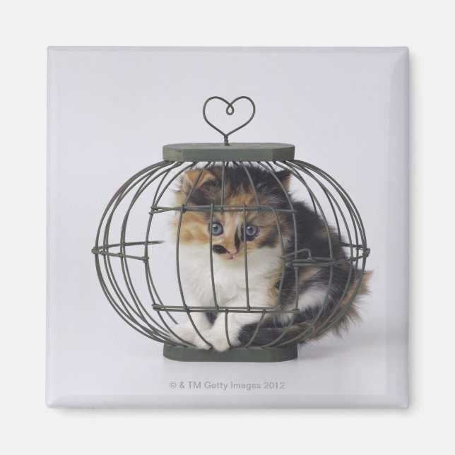 Aimant Chat en cage (Devant)