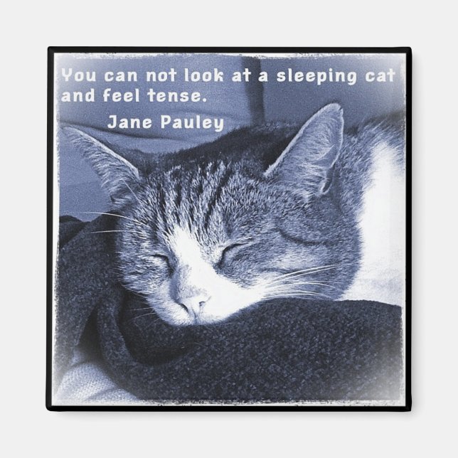 Aimant Chat endormi (Devant)