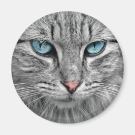Aimant Chat gris avec yeux bleus