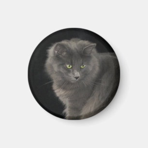 Aimant Chat gris Long Cheveux Russe Bleu Kitty Kitten Mig