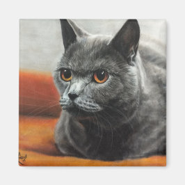 Aimant Chat gris reposant avec les yeux orange