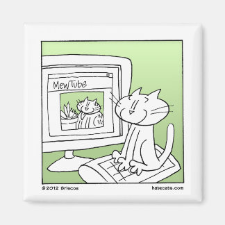 Aimant Chat Internet