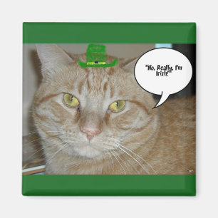 Aimant Chat Jour de la Saint Patrick Orange Tabby