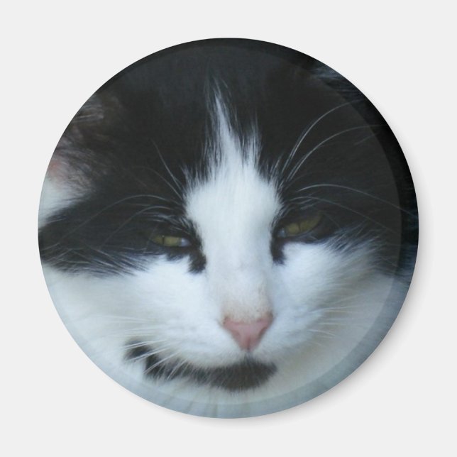 Aimant Chat Kitty noir et blanc (Devant)