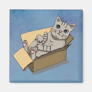 Aimant Chat mignon dans un dessin de boîte en carton