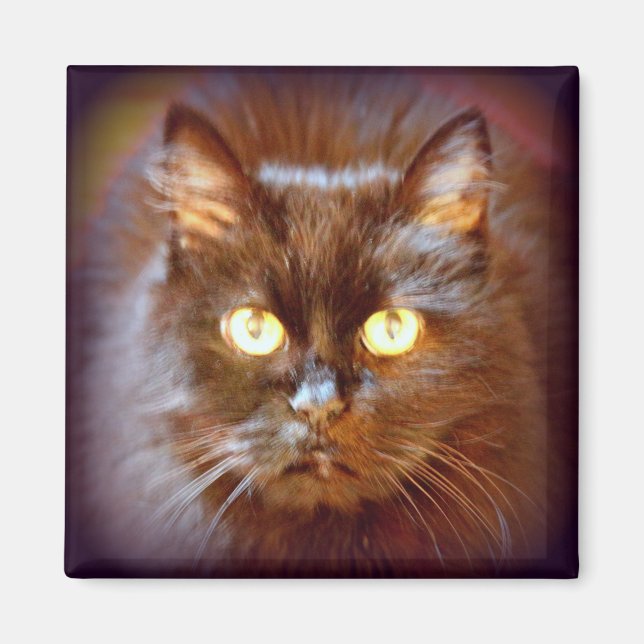 Aimant chat noir (Devant)