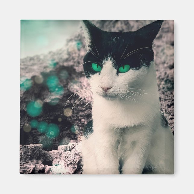 Aimant Chat Noir Et Blanc Yeux Vert Assis À Voir (Devant)