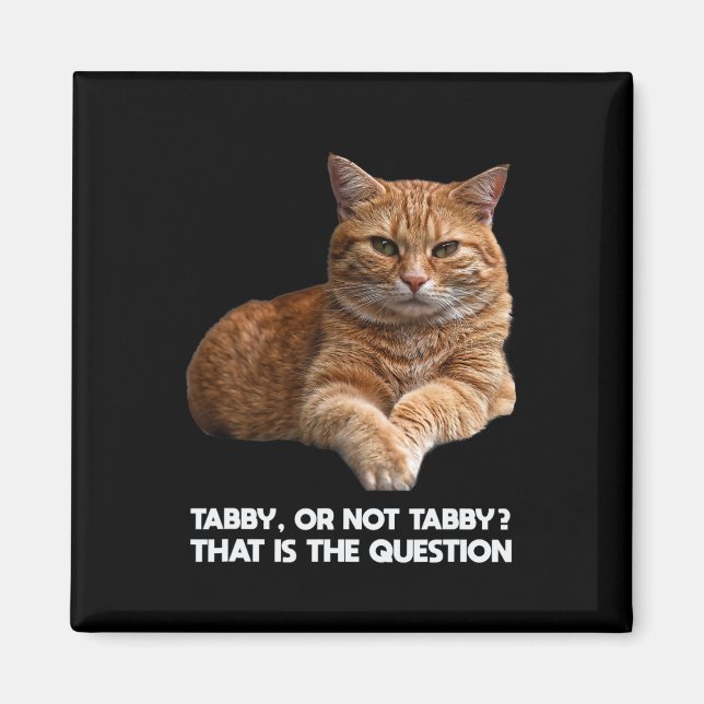 Aimant Chat orange mignon (Devant)