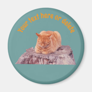 Aimant Chat orange tabby endormi personnalisé
