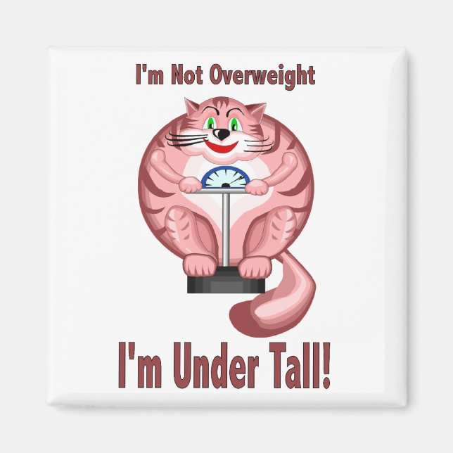 Aimant Chat : Pas De Surpoids (Devant)