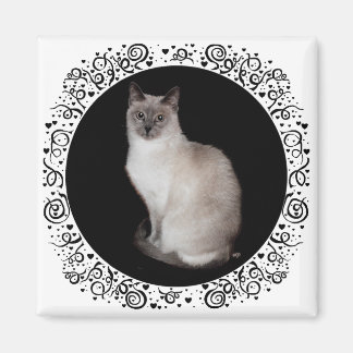 Aimant Chat siamois