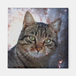Aimant Chat spatial