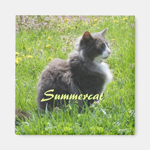 Aimant Chat Sunshine