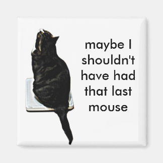 Aimant Chat sur échelles