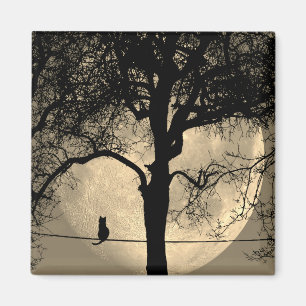 Aimant Chat sur un fil pleine lune