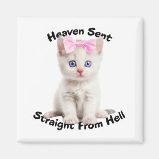 Aimant Chat Whimsical