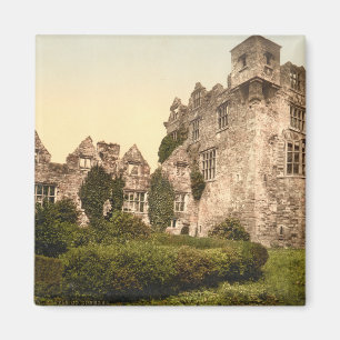 Aimant Château du Donegal, comté le Donegal