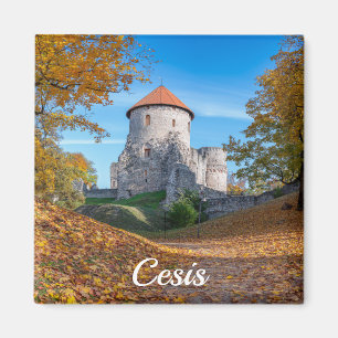 Aimant Château médiéval entouré de forêt