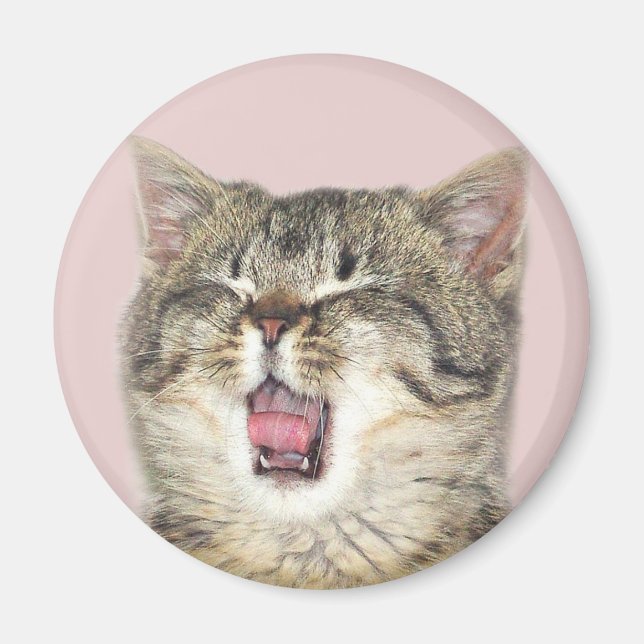 Aimant Chaton à bouche ouverte (Devant)