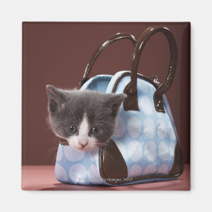 Aimant Chaton dans le sac à main
