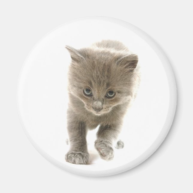 Aimant chaton mignon (Devant)