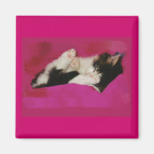 Aimant Chaton somnolent dans le rose