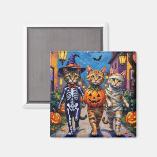 Aimant Chats abyssins faisant Trick-or-Treating en costum