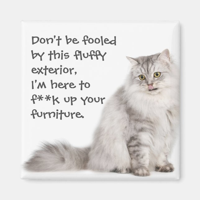 Aimant Chats Badass (Devant)