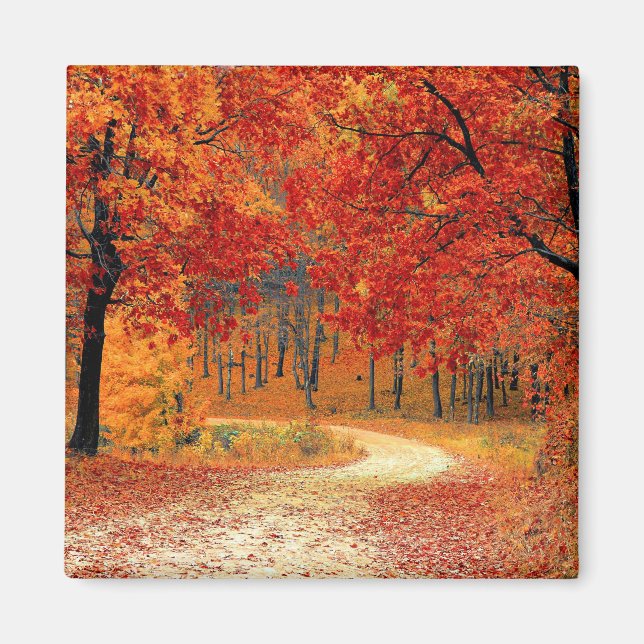 Aimant Chemin dans la forêt, automne (Devant)