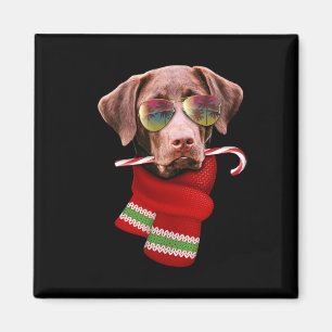 Aimant Chemise Noël en Juillet Labrador Lunettes Chien Am
