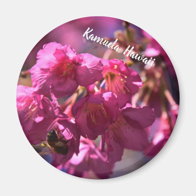 Aimant Cherry Blossom et une abeille (Devant)