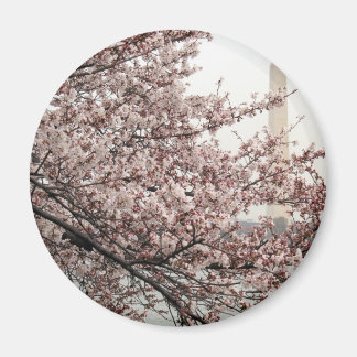 Aimant Cherry Blossom Washington DC