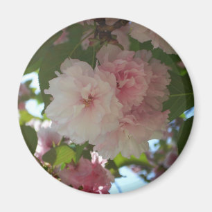 Aimant Cherry Tree I Spring Floral
