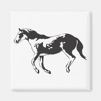 Aimant cheval3