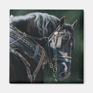 Aimant Cheval de percheron noir prêt et prêt