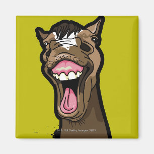 Aimant Cheval de sourire