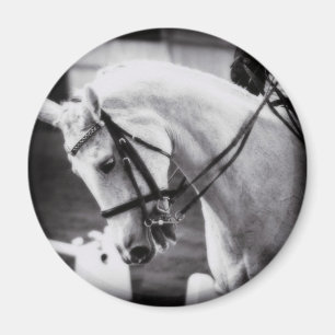 Aimant Cheval Dressage noir et blanc
