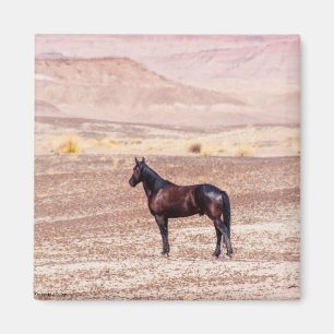 Aimant Cheval du désert P8664