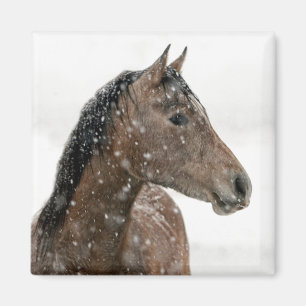 Aimant Cheval en hiver