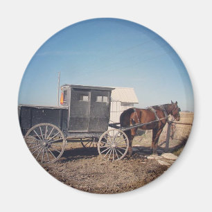 Aimant Cheval et boguet amish de attente