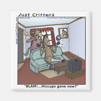 Aimant Cheval Hiccups