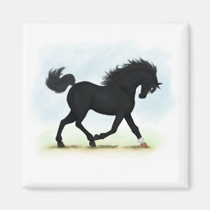 Aimant Cheval noir avec étoile et chaussette (Black Beaut