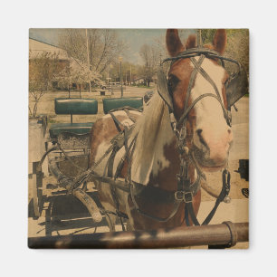 Aimant Cheval Pinto Buggy