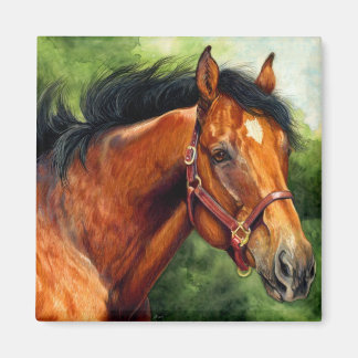 Aimant Cheval Thoroughbred