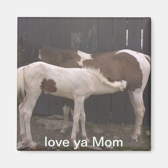 Aimant chevaux (Devant)