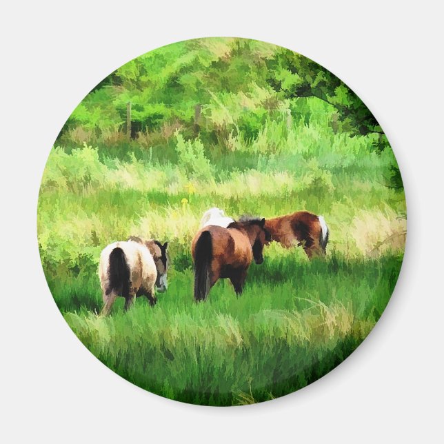 AIMANT CHEVAUX (Devant)