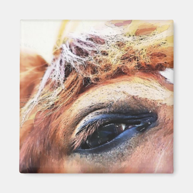 AIMANT CHEVAUX (Devant)